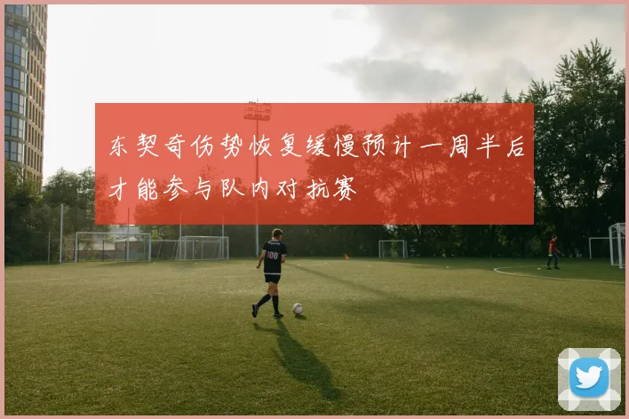 东契奇伤势恢复缓慢预计一周半后才能参与队内对抗赛